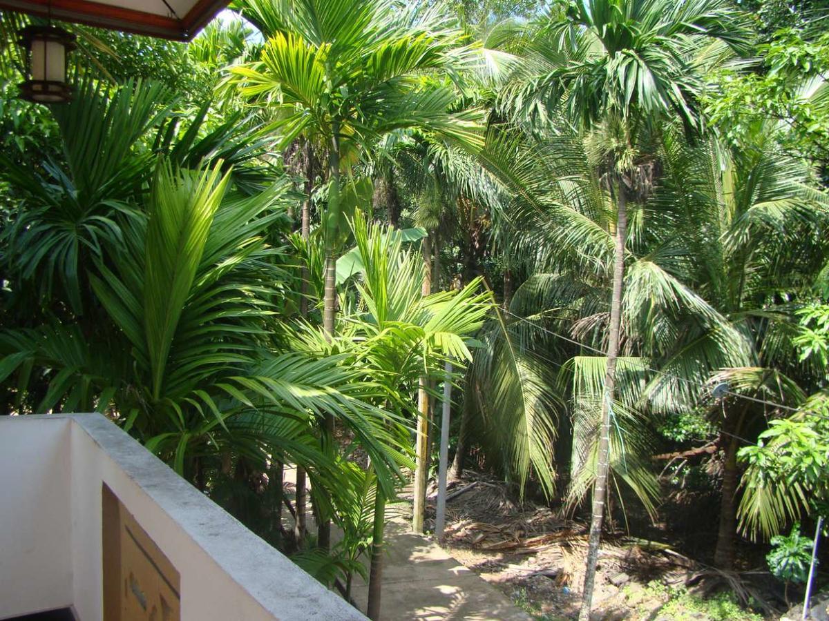 Moragalla Dilu Villa Beruwala Buitenkant foto